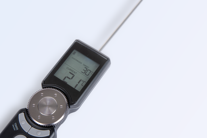 Boretti instant thermometer